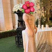 لباس مجلسی تمام کارشده مروارید و سنگ در حد نو|لباس|کرج, گوهردشت|دیوار