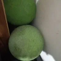 توپ