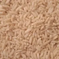 برنج علی کاظمی درجه یک|خوردنی و آشامیدنی|بیرانوند, |دیوار