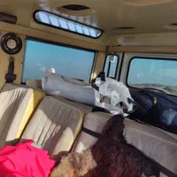 لندروور سری مونتاژ موتور سانتانا|خودرو سواری و وانت|تهران, تهرانپارس شرقی|دیوار