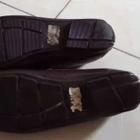 کفش اورجینال مردانه|کیف، کفش، کمربند|شهریار, شهرک نماز (دینار آباد)|دیوار