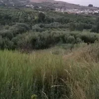 زمین-مسکونی-سی-متری-انقلاب-خیابان-ایثار