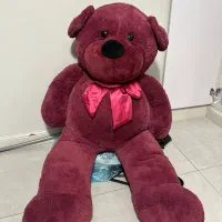 خرس بزرگ خارجی