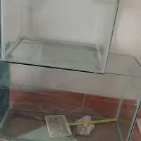 آکواریوم|ماهی|بروجرد, |دیوار