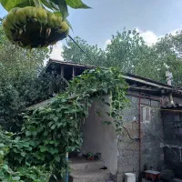 فروش ویلای ۲۰۰متری روستایی اطراف کوچه اصفهان|فروش خانه و ویلا|رشت, پل تالشان|دیوار