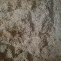 50تن کاه دیم