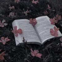 تدریس و معلم خصوصی