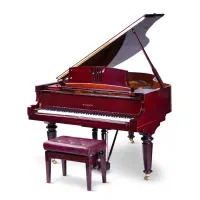 اجاره انواع پیانو دیجیتال / اکوستیک