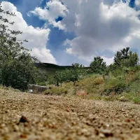 فروش باغ گیلاس و آلبالو|فروش خانه و ویلا|تهران, آذربایجان|دیوار