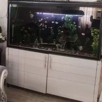 اکواریوم