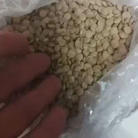 فروش عدس سبز روس