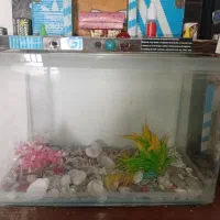 آکواریوم شیشه خم با لوازم