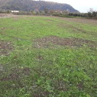 زمین تجاری بر جاده اصلی تالش آستارا