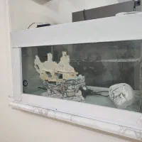 آکواریوم و تجهیزات