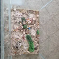 اکواریوم|لوازم جانبی حیوانات|اندیمشک, |دیوار