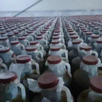 پخش خیارشور دبه ای درب منزل