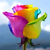 باغبان حرفه ای