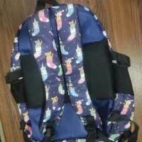 کیف مدرسه|کیف، کفش، کمربند|زاهدان, |دیوار