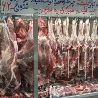 قصاب ماهر و مرغ خرد کن