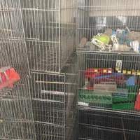 قفس پرنده در حد نو و تمیز با همه امکانا|لوازم جانبی حیوانات|خمینی‌شهر, |دیوار