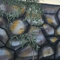درختی-سهمیه-آب-فعال-چسب-بافت