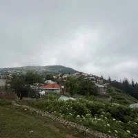 همخانه-خانم