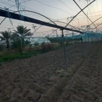 فروش۶۰۰مترمربع سازه گلخانه با تمام امکانات