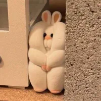 لباس شویی جی پلاس نو