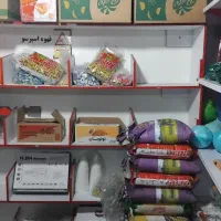 جاشکلاتی