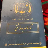 سگ پامرین روباهی