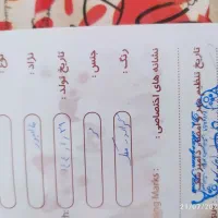 مالینیوز|اشیا|سمیرم, |دیوار