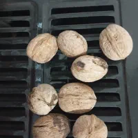 گردوخوب|عمده‌فروشی|جوانرود, |دیوار