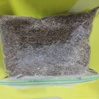 زیره سبز تازه