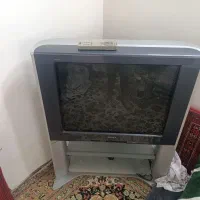 تلویزیون|تلویزیون و پروژکتور|گلبهار, بیزکی|دیوار