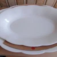 ارکوپال ۵ماه