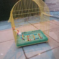 قفس پرنده