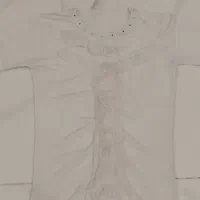 تیشرت و شلوار|کفش و لباس بچه|سلماس, |دیوار