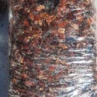 ضایعات شیره دار