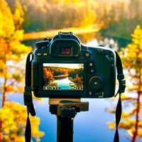 استخدام بلاگر و بازیگر خانم برای کلیپ اینستاگرام