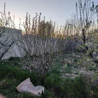 باغچه ۴۶۸ متری تهراندشت سرخاب با کنتور برق اقساطی|فروش زمین و ملک کلنگی|هشتگرد, تهران دشت|دیوار