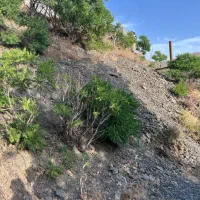 زمین فروشی در روستای خوش آب و هوای زشک|فروش زمین و ملک کلنگی|شاندیز, |دیوار