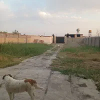 سوله 1100متر