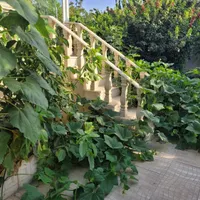 باغ ویلا چناران استخر آب گرم سرپوشیده.فول امکانات|اجارهٔ کوتاه‌مدت ویلا و باغ|گلبهار, |دیوار