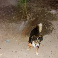 چهاراه صاحب اباد....گمشده