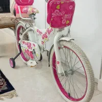 دوعدد دوچرخه سایز20نونو