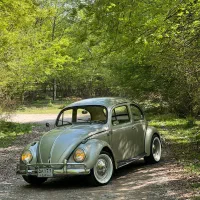 اجاره ماشین عروس خاص کلاسیک فولکس|خودرو اجارهای|آمل, |دیوار