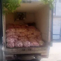 قطعه بندی مرغ و ران تمیز وسالم گرم سایز