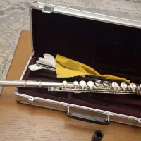 فلوت کلیددار سوزوکی|سازهای بادی|پردیس, فاز ۳|دیوار