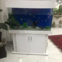 اکواریوم شیشه خم