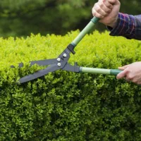 باغبانی و درختکاری